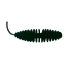 PUPA