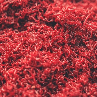 МОТЫЛЬ МЕЛКИЙ Кормовой ЛИМАННЫЙ от 10 кг 3684