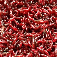 МОТЫЛЬ КРУПНЫЙ Насадочный УРАЛЬСКИЙ  0,5 кг 2106