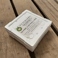 ДЕНДРОБЕНА ECOBAITS в термо-контейнерах, 25 гр.червя в 1 банке 2390