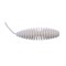 Приманка CRAZY TROUT PUPA (Белый, Сыр) 52 мм, 10 шт. 3248 - фото 9439